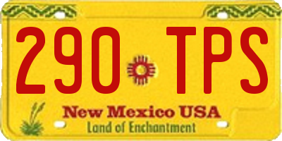 NM license plate 290TPS