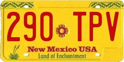 NM license plate 290TPV