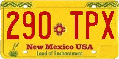 NM license plate 290TPX