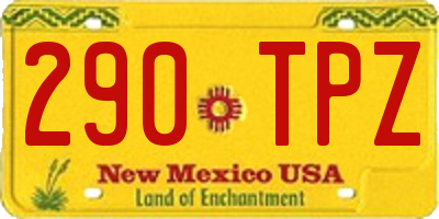 NM license plate 290TPZ