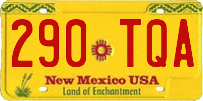 NM license plate 290TQA