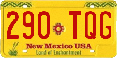 NM license plate 290TQG
