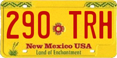 NM license plate 290TRH
