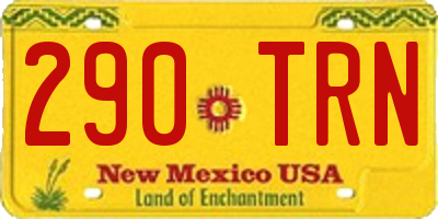 NM license plate 290TRN