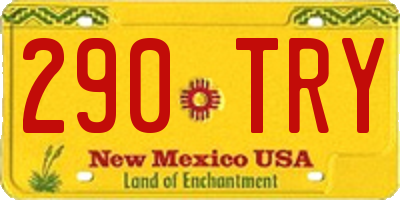 NM license plate 290TRY
