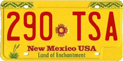 NM license plate 290TSA