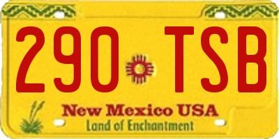 NM license plate 290TSB