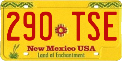 NM license plate 290TSE
