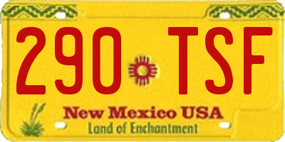 NM license plate 290TSF