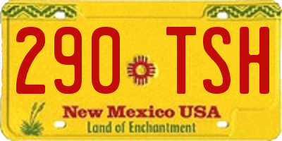 NM license plate 290TSH