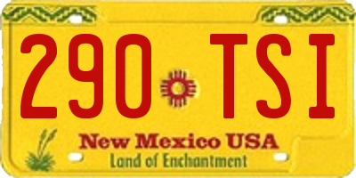 NM license plate 290TSI