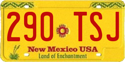NM license plate 290TSJ