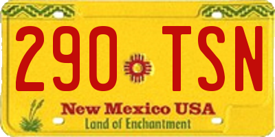NM license plate 290TSN