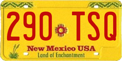 NM license plate 290TSQ