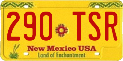 NM license plate 290TSR