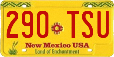 NM license plate 290TSU