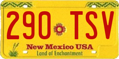 NM license plate 290TSV