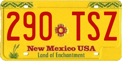 NM license plate 290TSZ