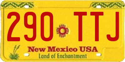 NM license plate 290TTJ