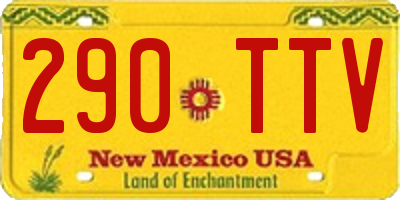 NM license plate 290TTV