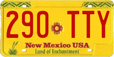 NM license plate 290TTY