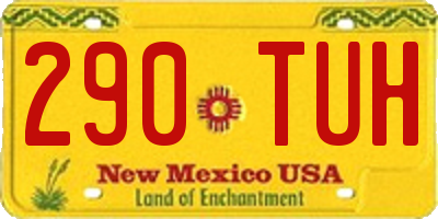 NM license plate 290TUH