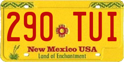 NM license plate 290TUI