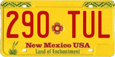 NM license plate 290TUL
