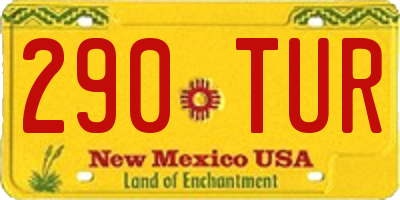 NM license plate 290TUR