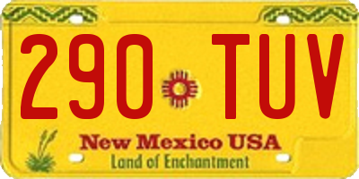 NM license plate 290TUV