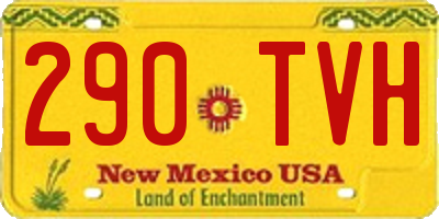 NM license plate 290TVH