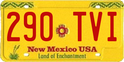 NM license plate 290TVI