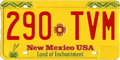 NM license plate 290TVM