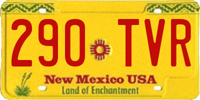 NM license plate 290TVR