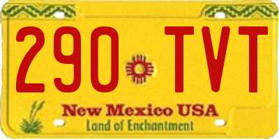 NM license plate 290TVT