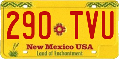 NM license plate 290TVU