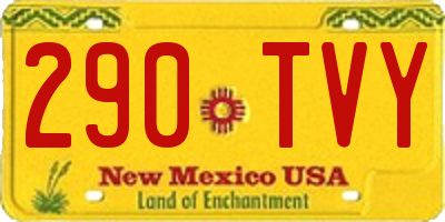 NM license plate 290TVY