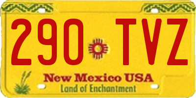 NM license plate 290TVZ