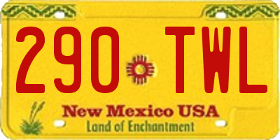 NM license plate 290TWL