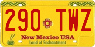 NM license plate 290TWZ