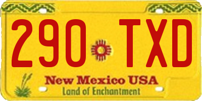 NM license plate 290TXD