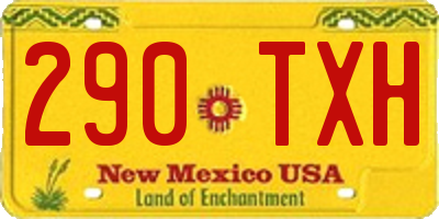 NM license plate 290TXH