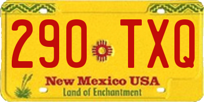 NM license plate 290TXQ