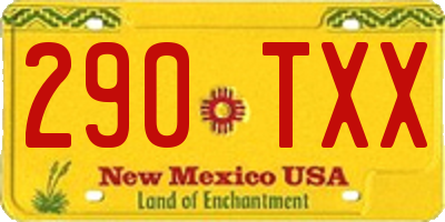 NM license plate 290TXX