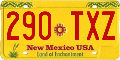 NM license plate 290TXZ