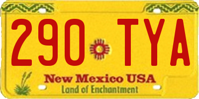 NM license plate 290TYA