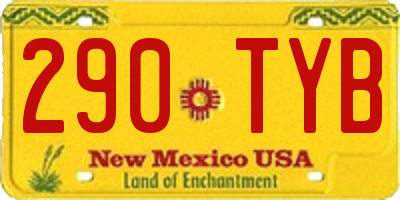 NM license plate 290TYB