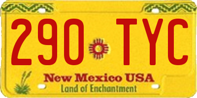 NM license plate 290TYC