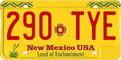 NM license plate 290TYE