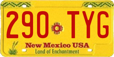NM license plate 290TYG